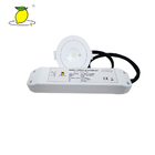 Professional Rechargeable LED Emergency Downlight 3W For Supermarket